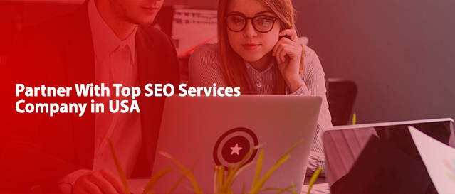 SEO Services Company in USA