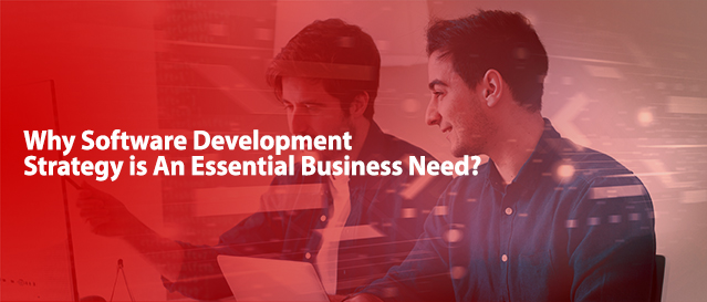 software development company usa