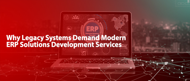 erp solutions development services