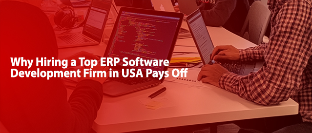 ERP Software Development Firm in USA
