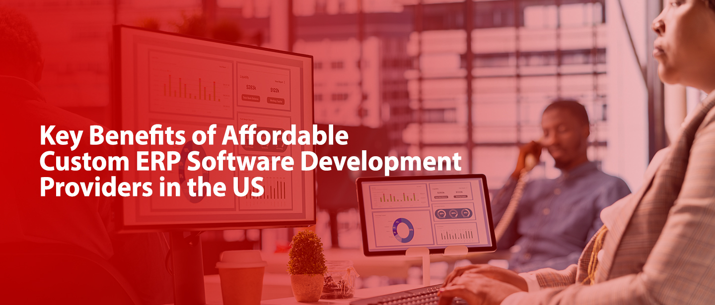 affordable custom erp softare development providers in us