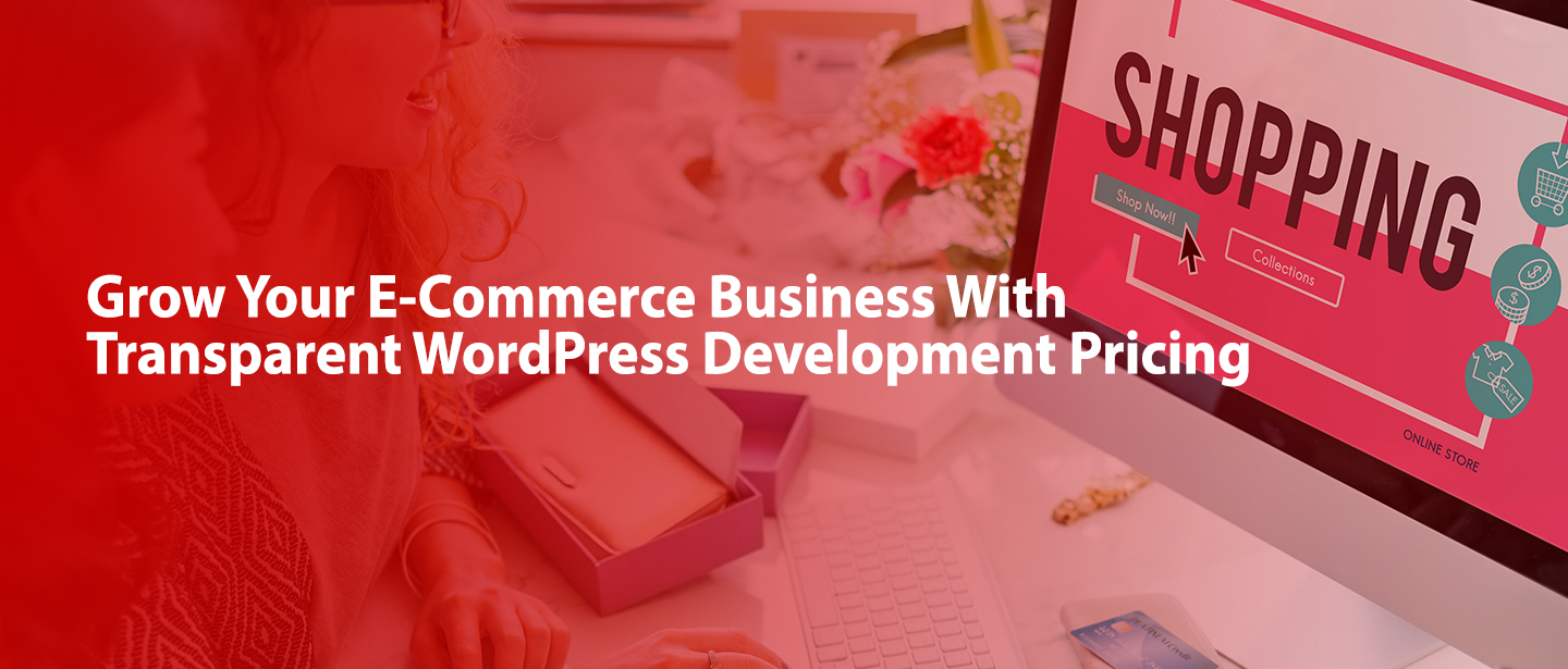 wordpress web development pricing in usa