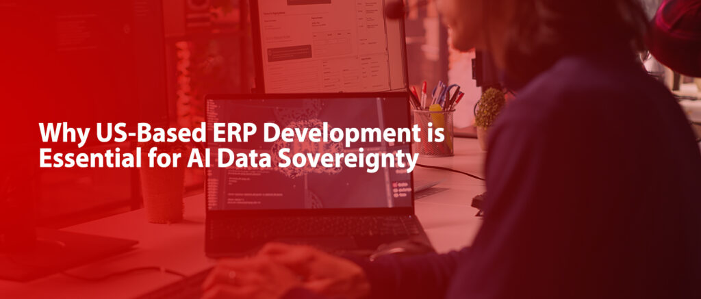erp software development service